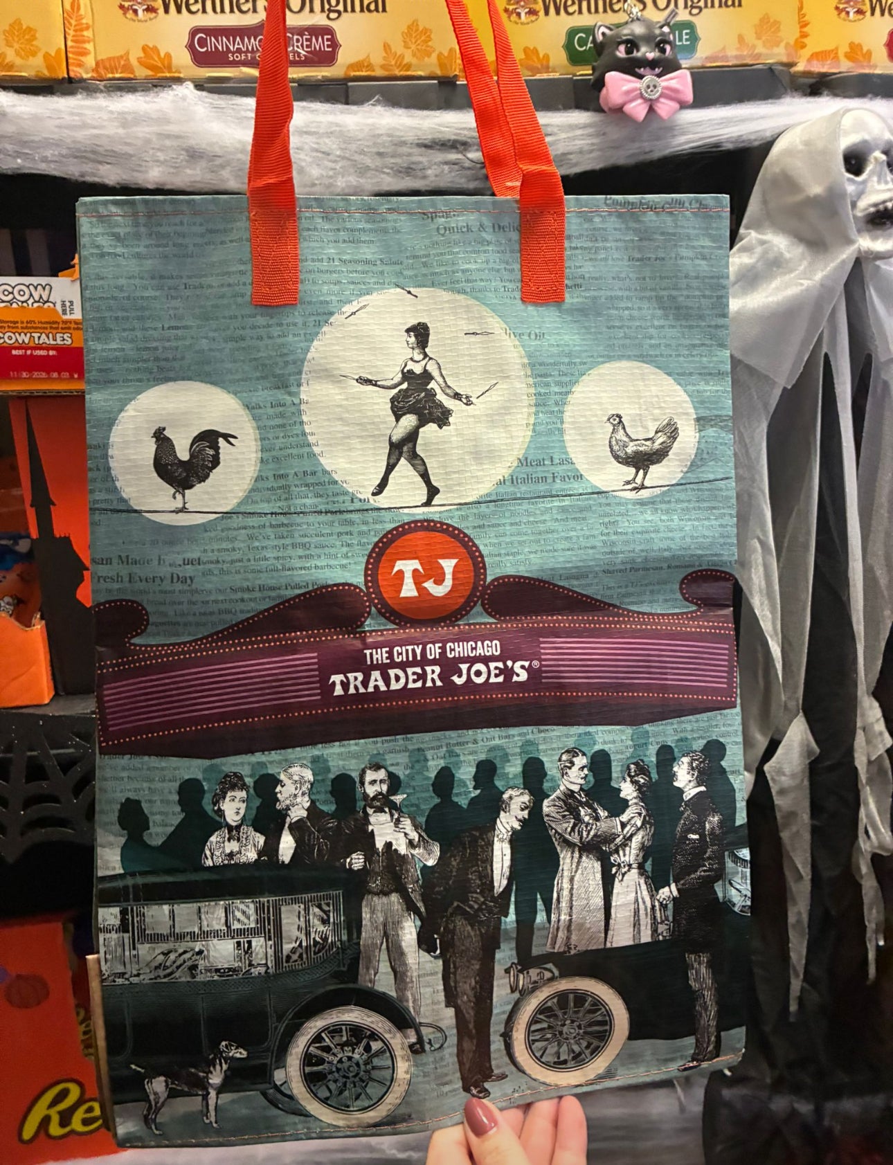 Trader Joe’s Chicago Reusable Grocery Bag - America