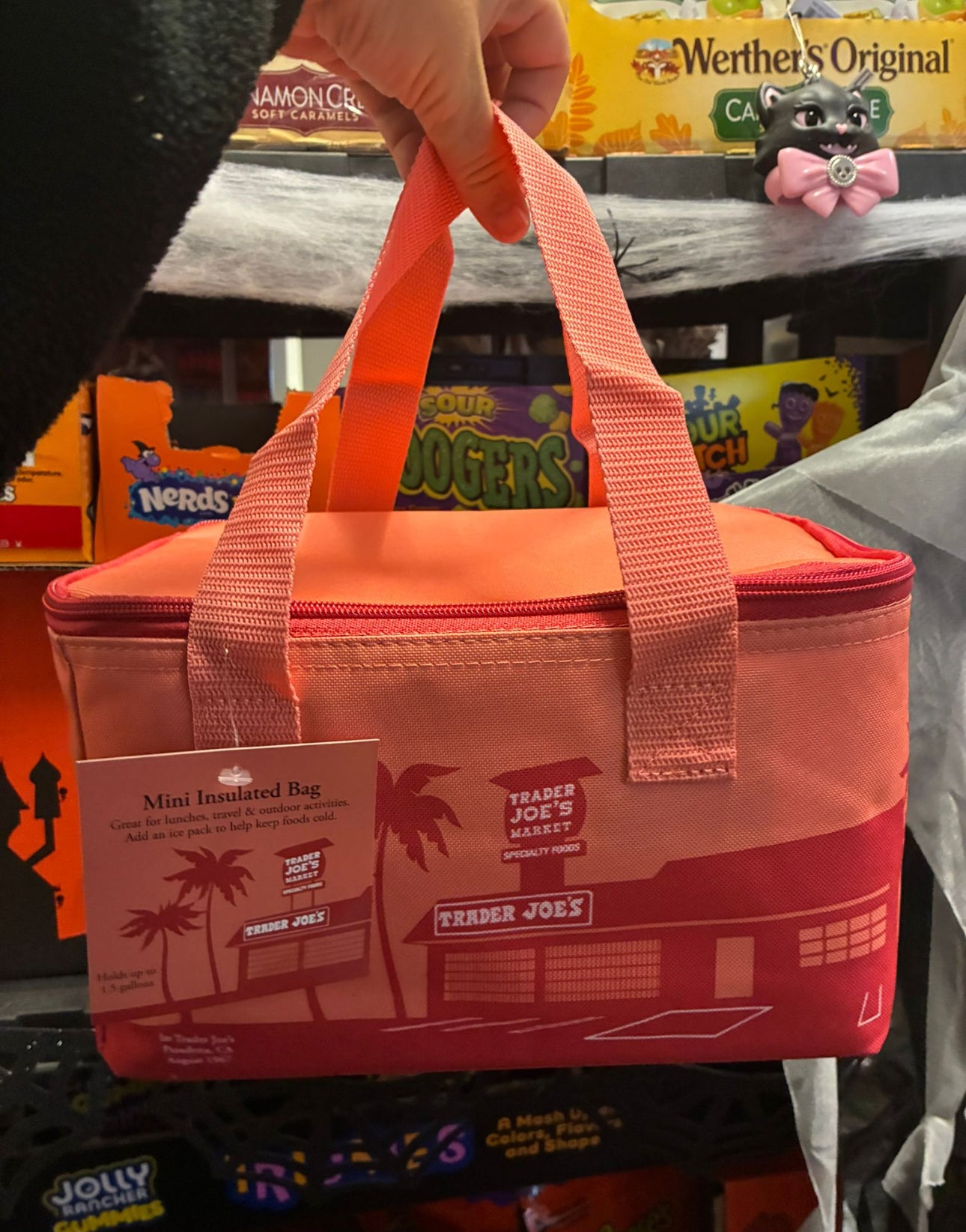 CORAL Trader Joe’s Mini Insulated Lunch Tote Bag - America