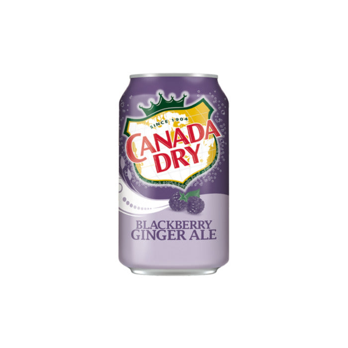 Canada Dry Blackberry Ginger Ale Can (355ml) - America